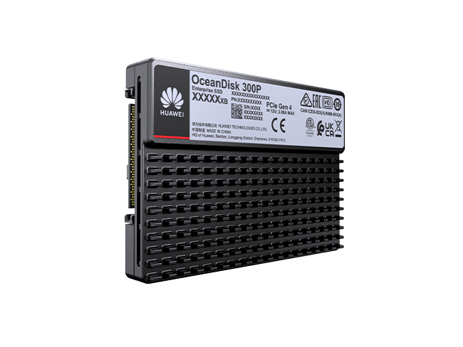 Huawei eKitStor Xtreme 300 / OceanDisk 300 Series Standard U.2 SSD for Servers